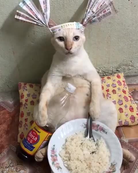 look at this cool guy