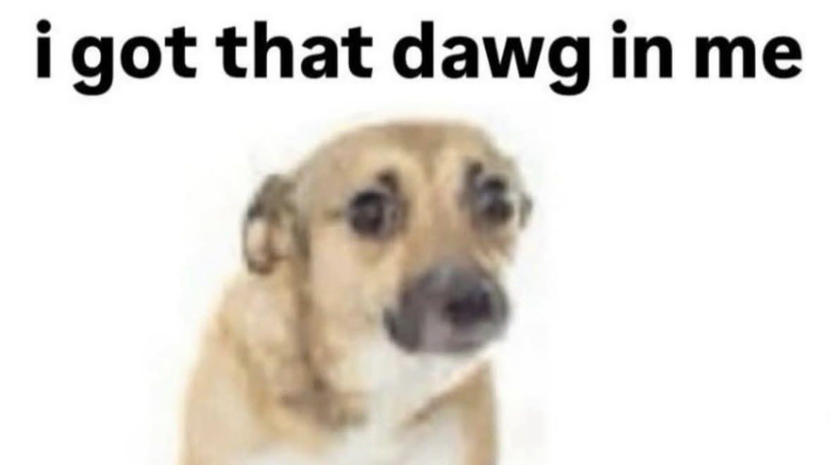 Have you received your taxes yet?