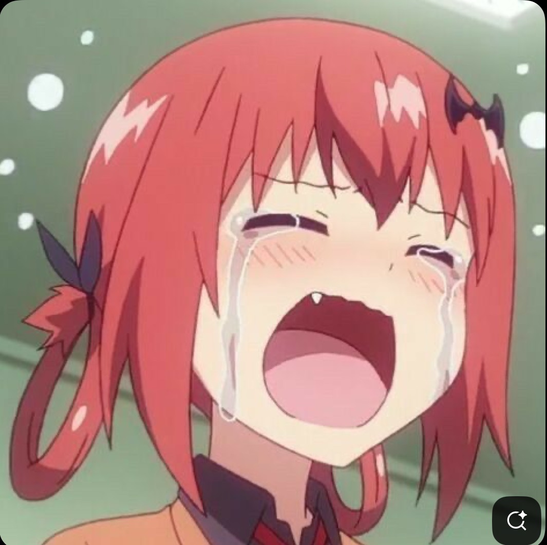 A friend told me to go on 4chan to chat and stuff, so I went on and wrote that I didn't know what to do. Then I told her I had already sent the message and she replied "delete the account bro." Literally, before that I told her "bro I love you." CHOKONEKO I HATE YOU