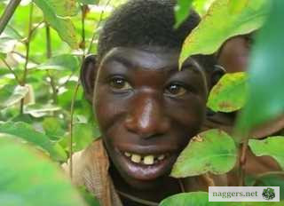 Found this little nigger walking around my back yard saying something about watermelon and now he's in my basement chained to the floor.