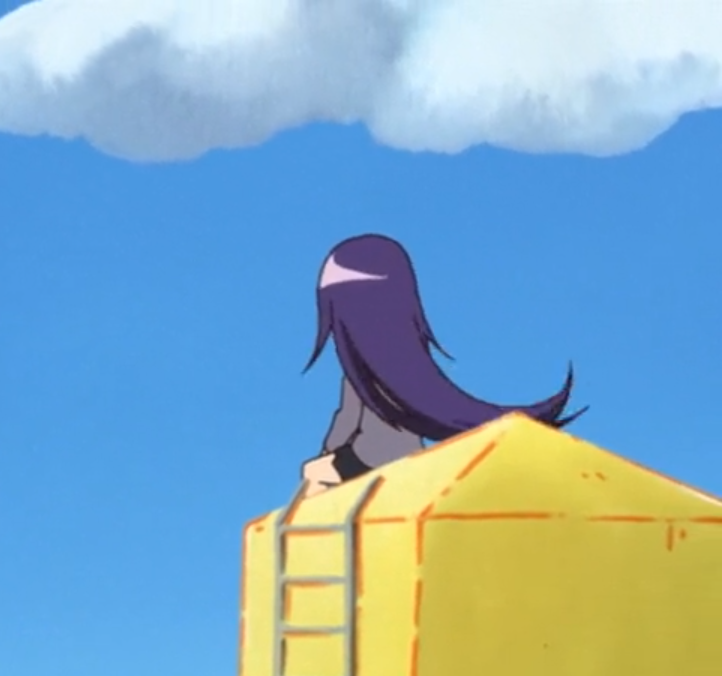 A strong wind has risen 