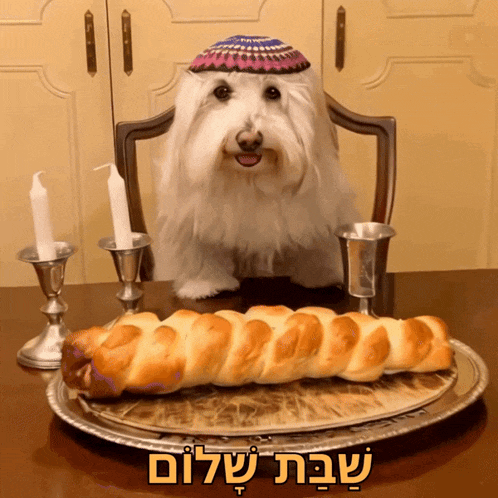 happe shabbat esfores