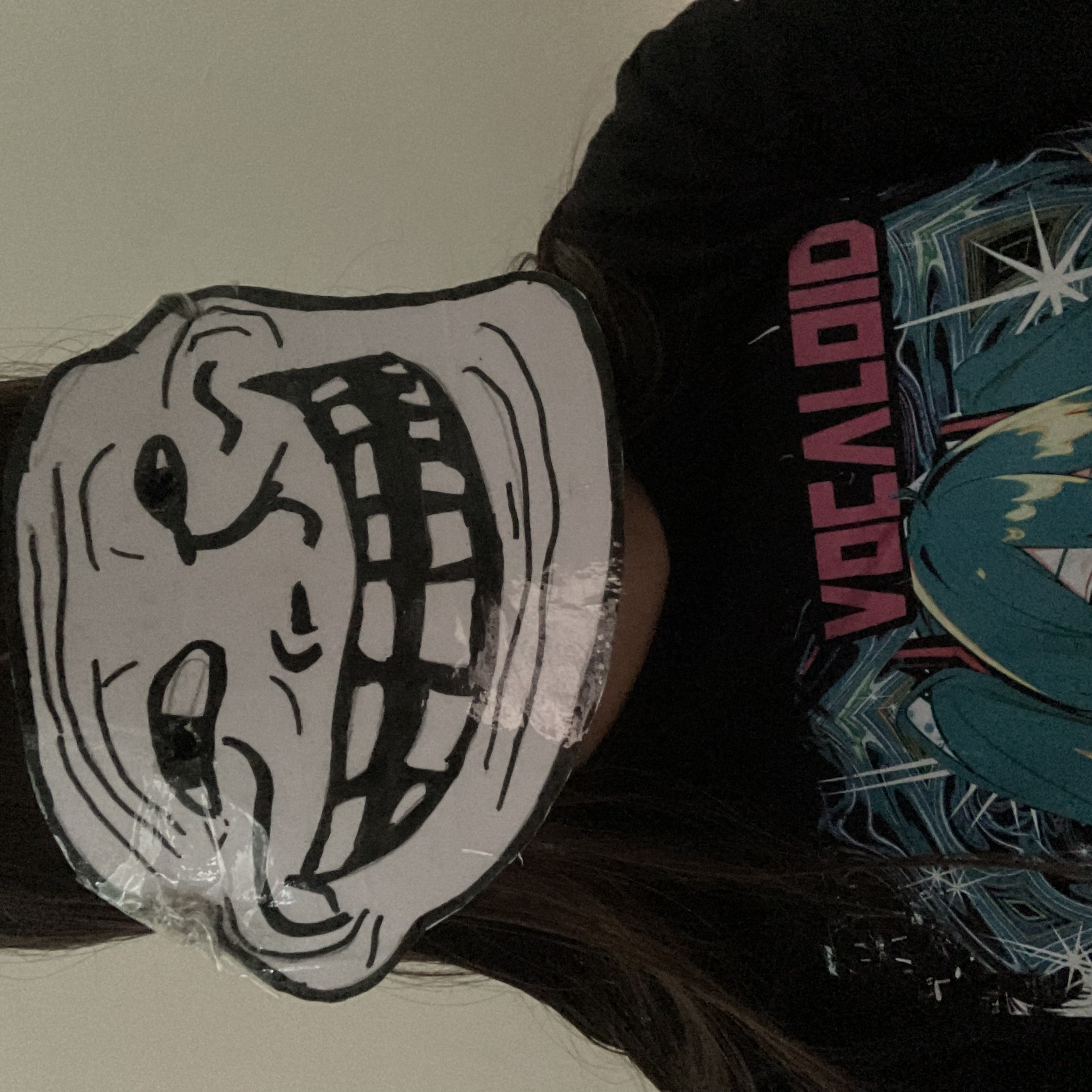 I made a troll face mask how did it turn out?