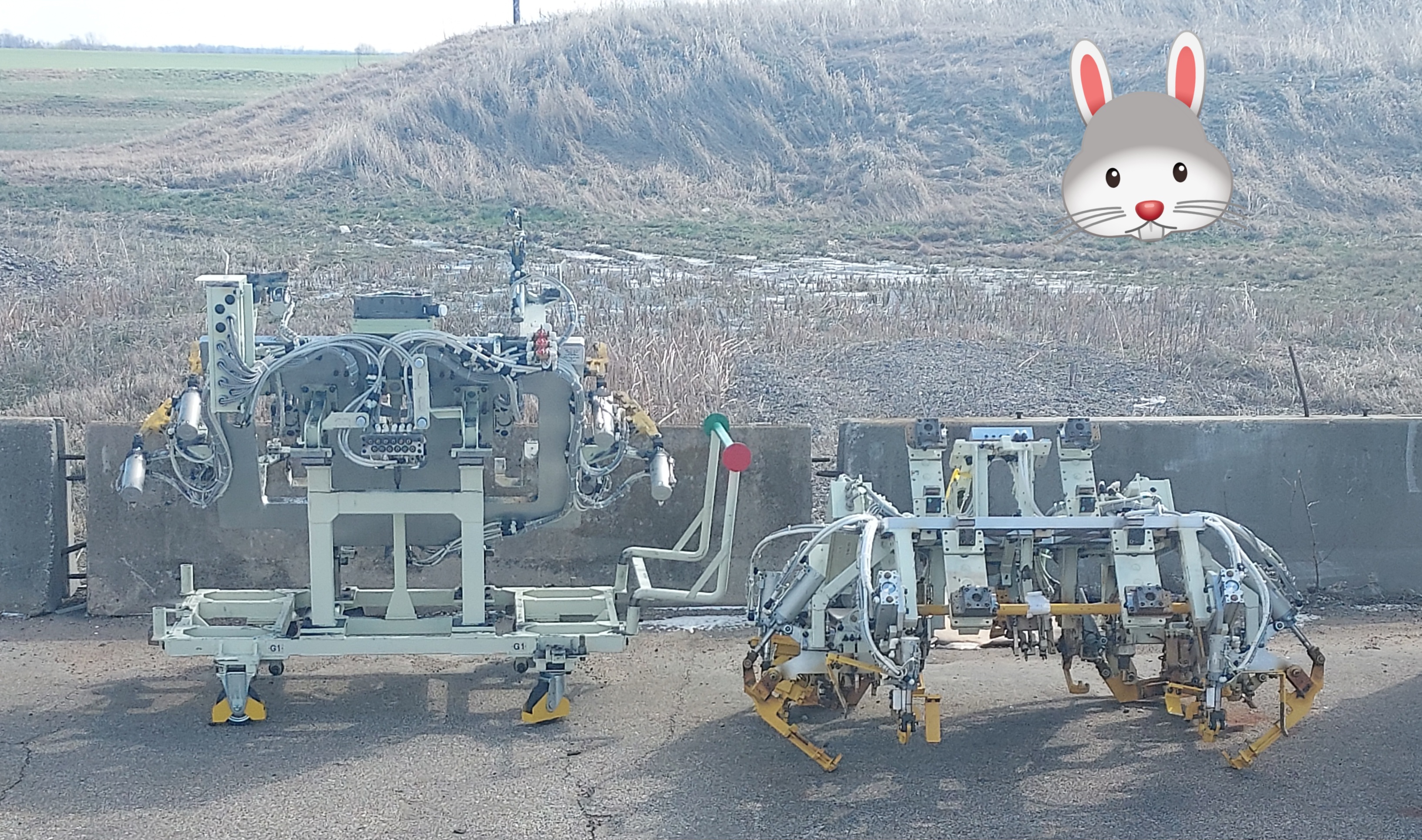 $20 Tarrif on frog friday