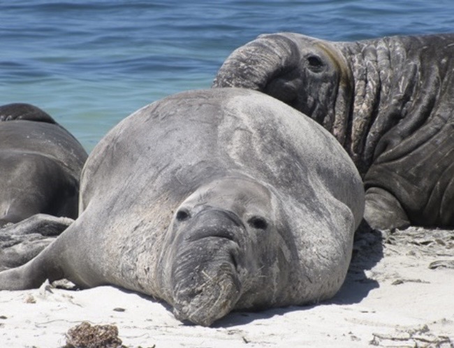 Post a pic of urself that’s me dead center