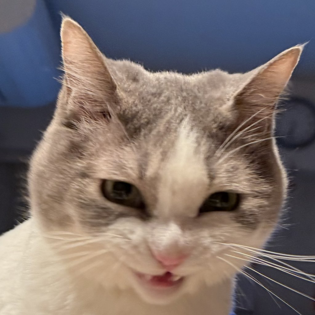 Stop liking the things that I like