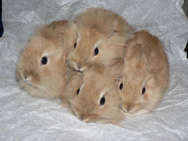 how do you guys cope being a complete nobody that no one wants to talk to at all cause your so boring