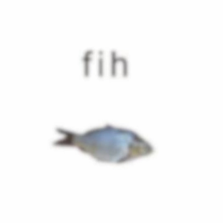 fih