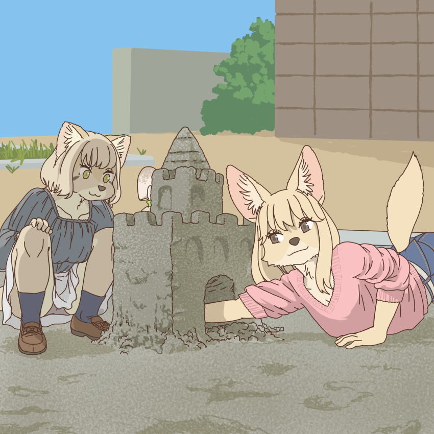 sand cat playing with fennec