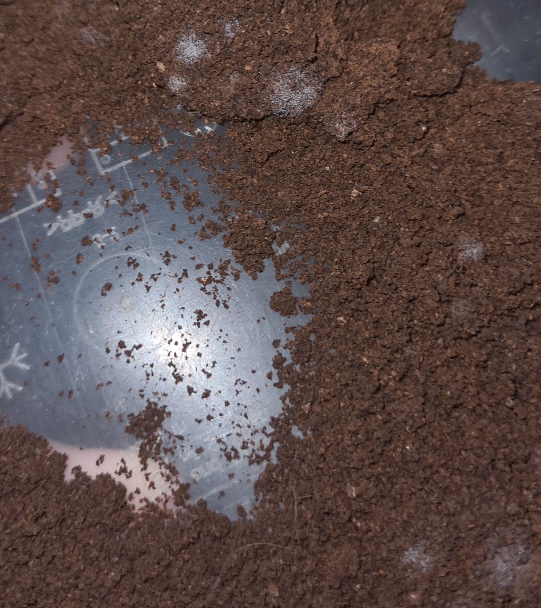 mold on used coffee! 