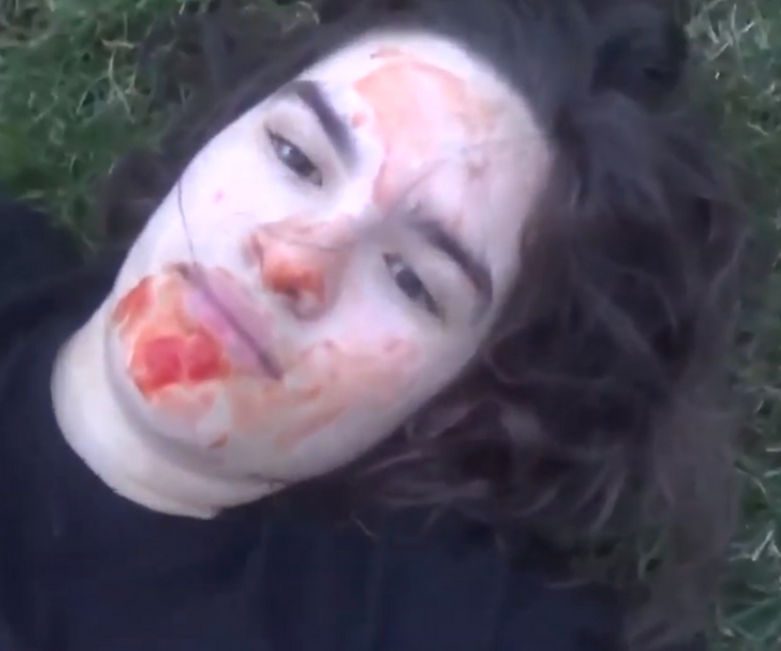 what is you're opinion on the animation meme community