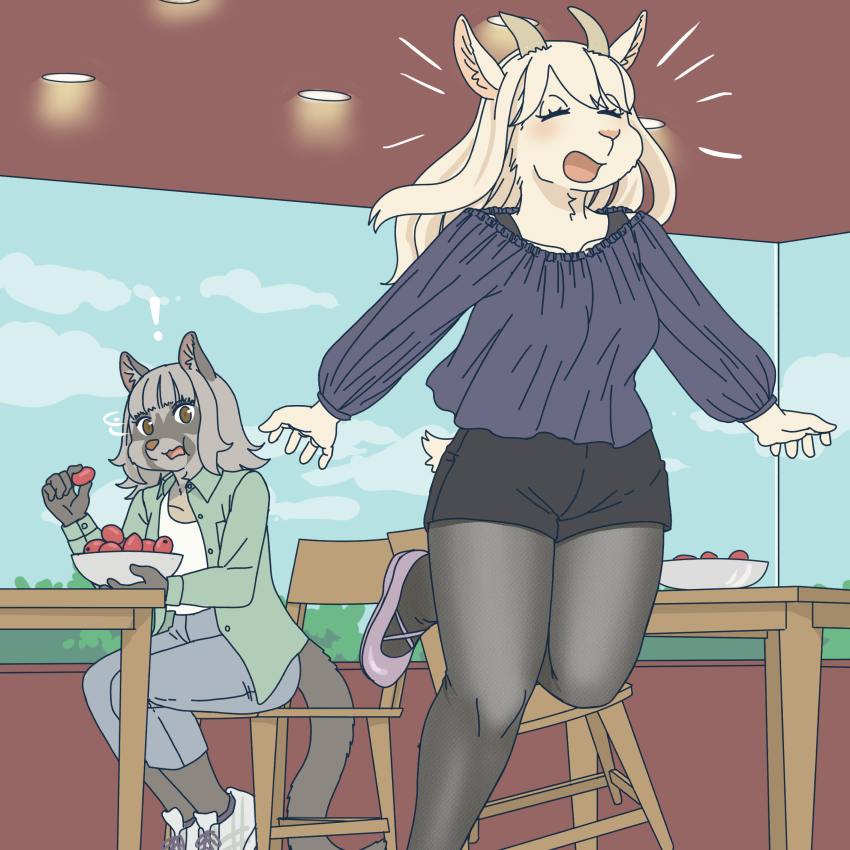 palm civet let a goat eat some of her coffee cherries