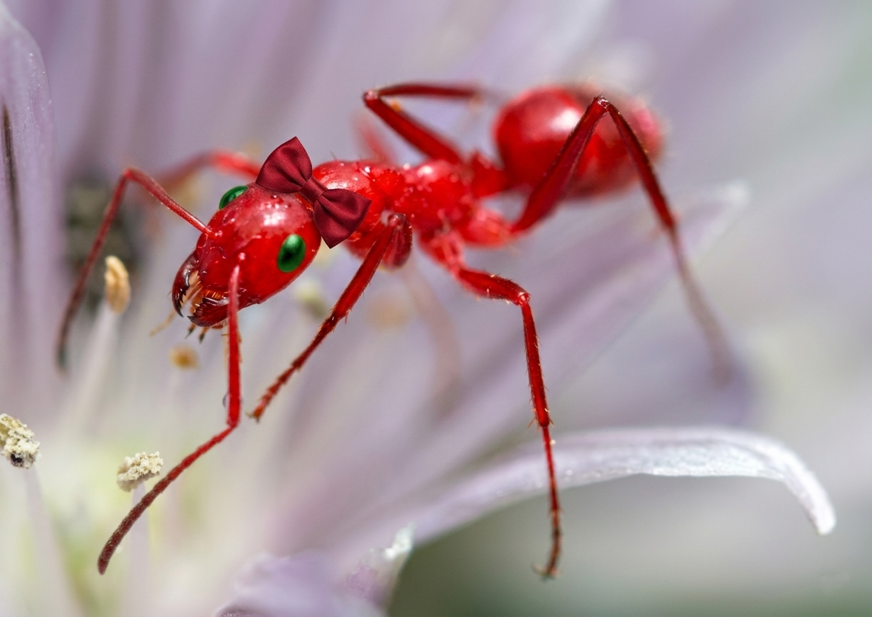 These rude bastards are fucking up my apartment.