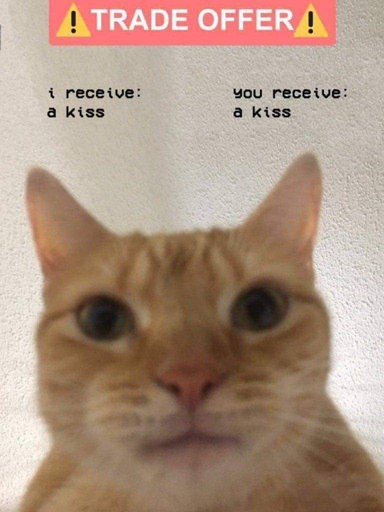 Mhm, very nice. The subtle upward curve is elegant and adds character while maintaining symmetry. While the circumcision scar is somewhat unappealing the length and girth clearly makes up for it, 6.5/10.