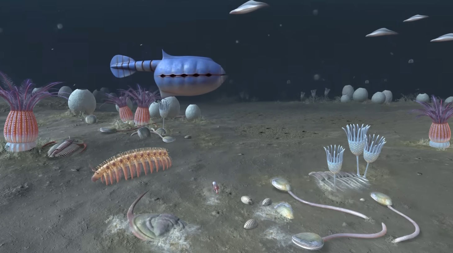 this is u guys https://www.youtube.com/watch?v=Ye2ABYCNjYs