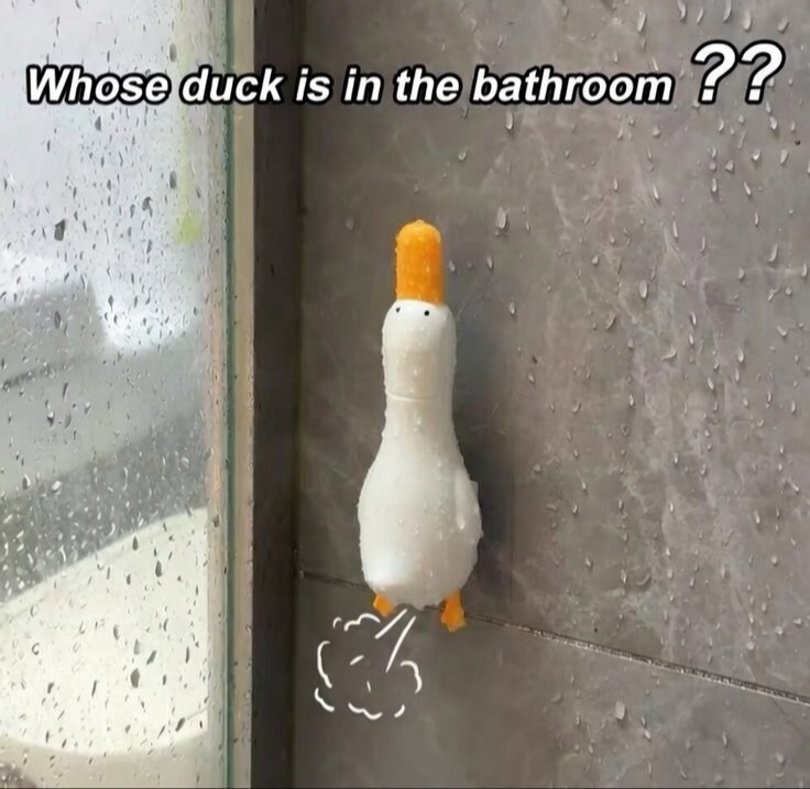 whose duck is it?