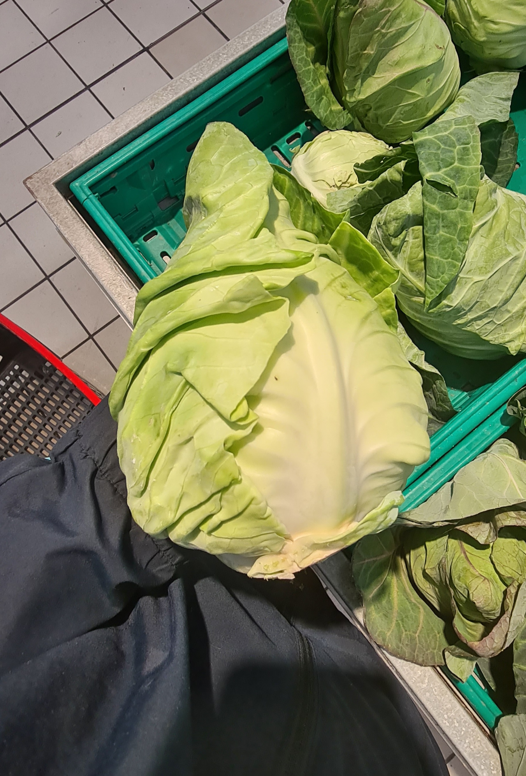 hmmm the price of cabbage went up 25%