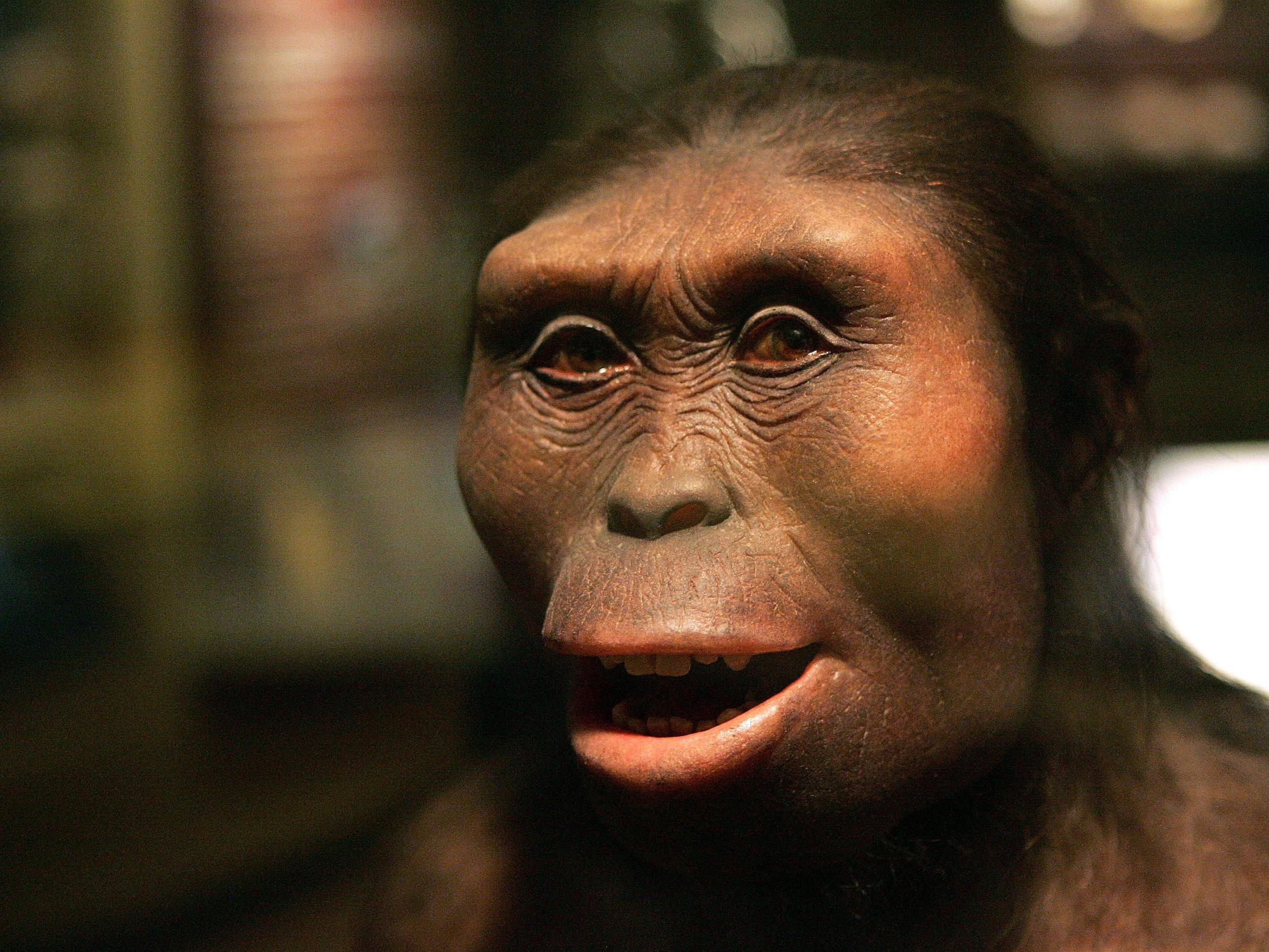 My ancestor :^)