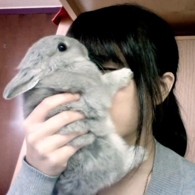 did you know that rabbits and bunes are not actually part of the rodent familyh they are legumes