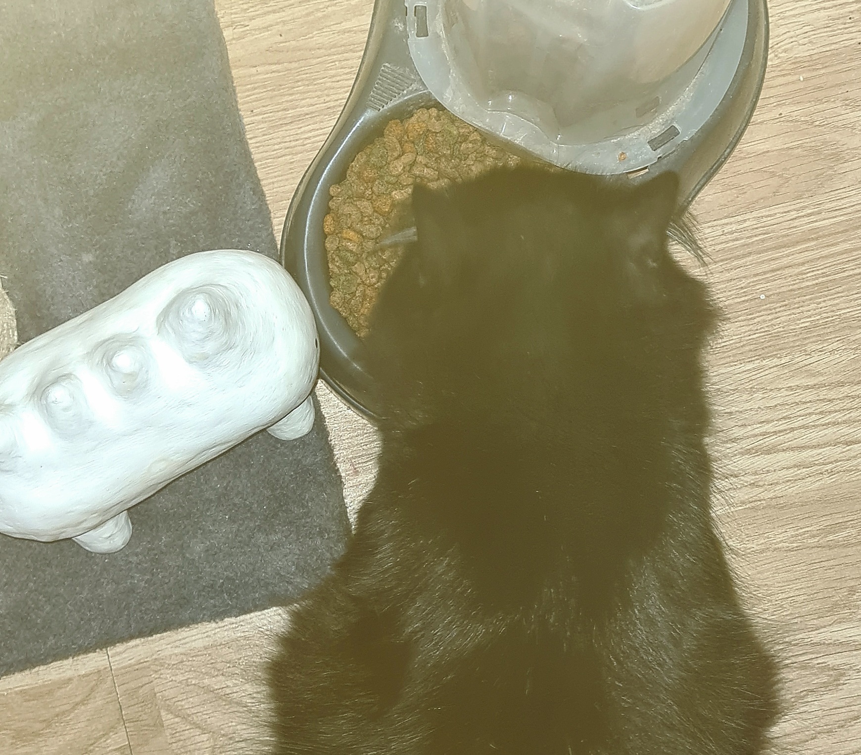 Spikedog is trying to steal Kiki's food!