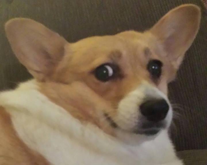 There's too many spikeman threads on the catalog.