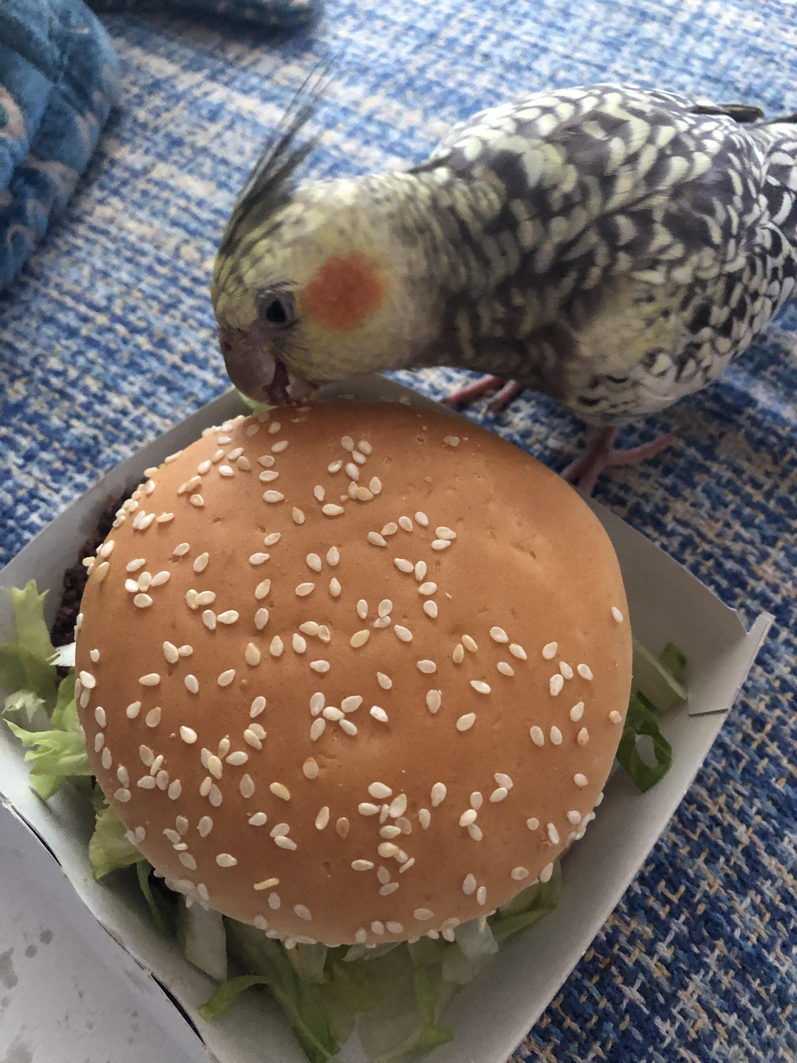 bavi