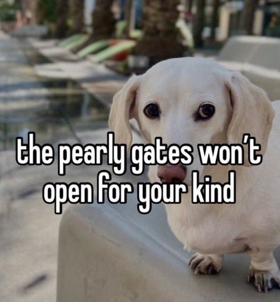 I feed my hounds
