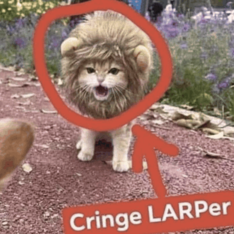 cringe larper cat