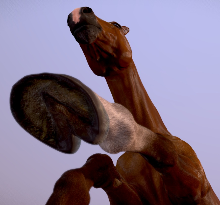 brohoof?