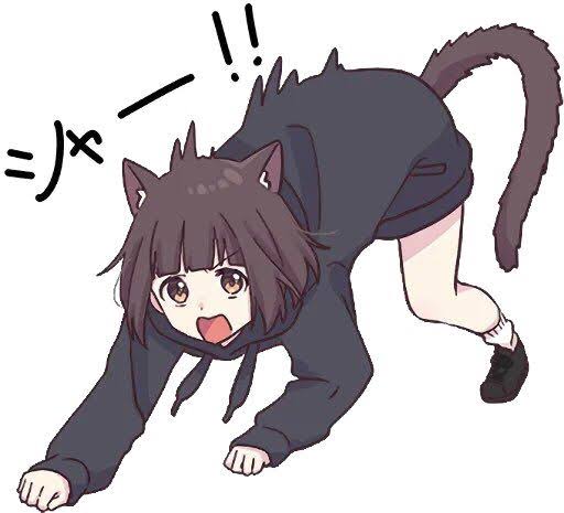 She goes Shaー!!!(Sha)
