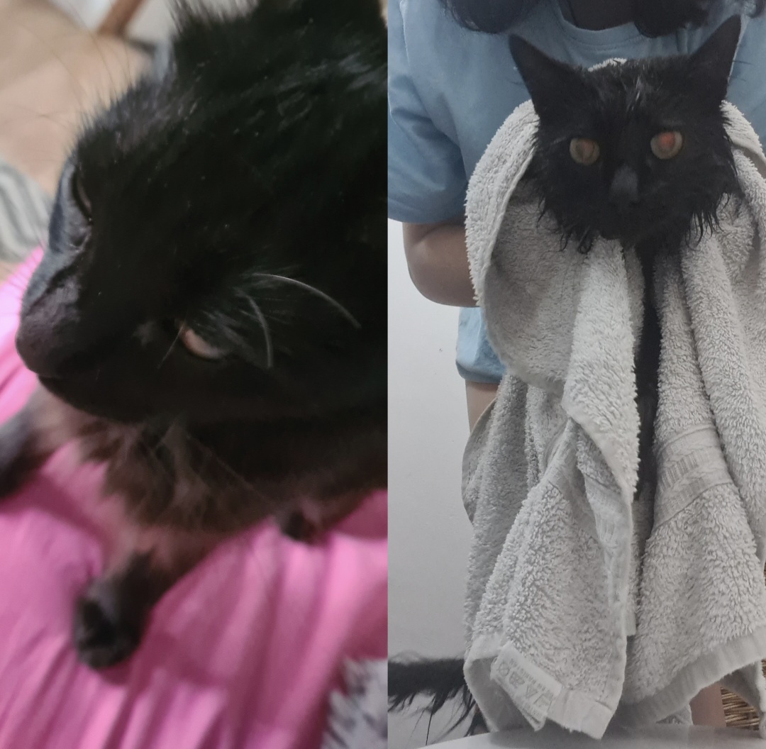 before/after