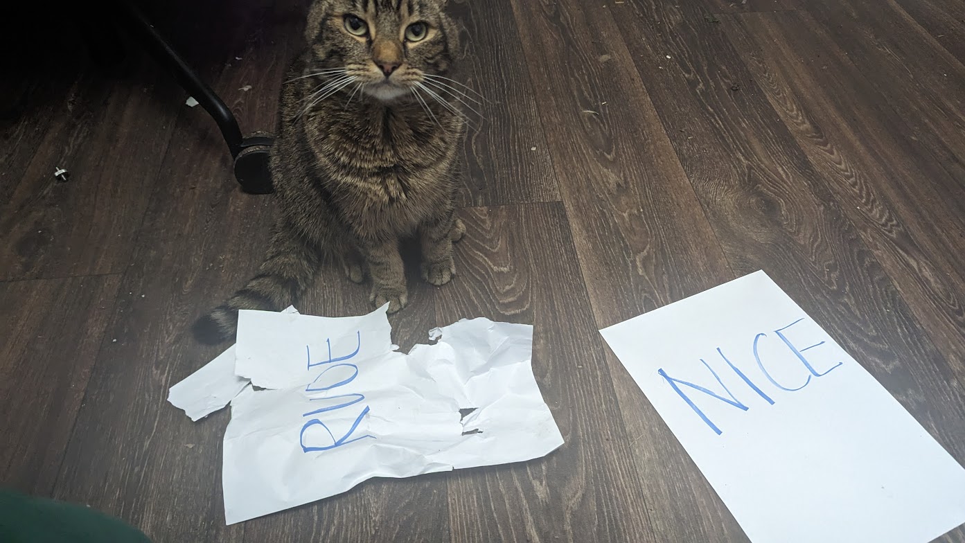 DON'T BE RUDE