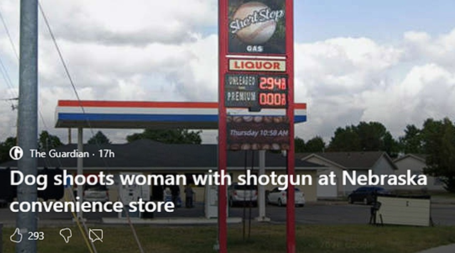 dog shoots woman with shotgun