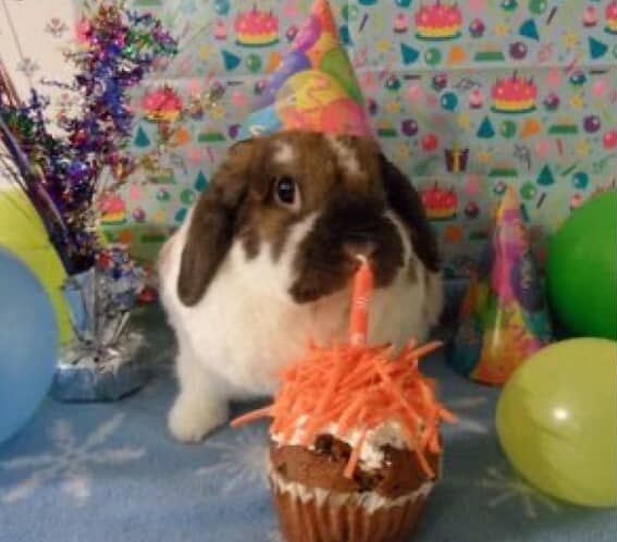 its my birthday :^)