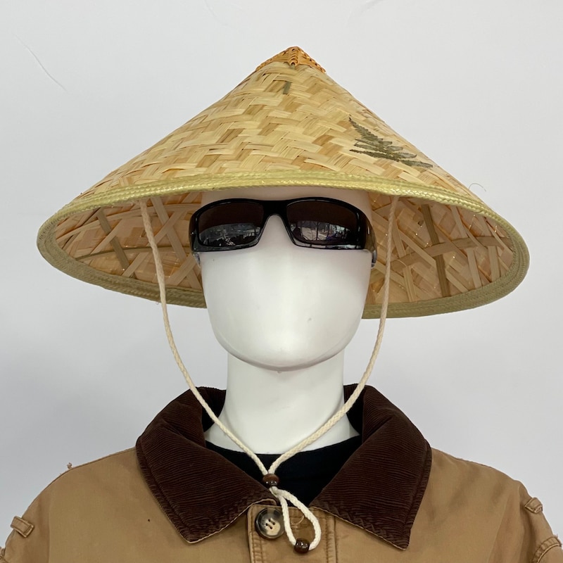 xin chào