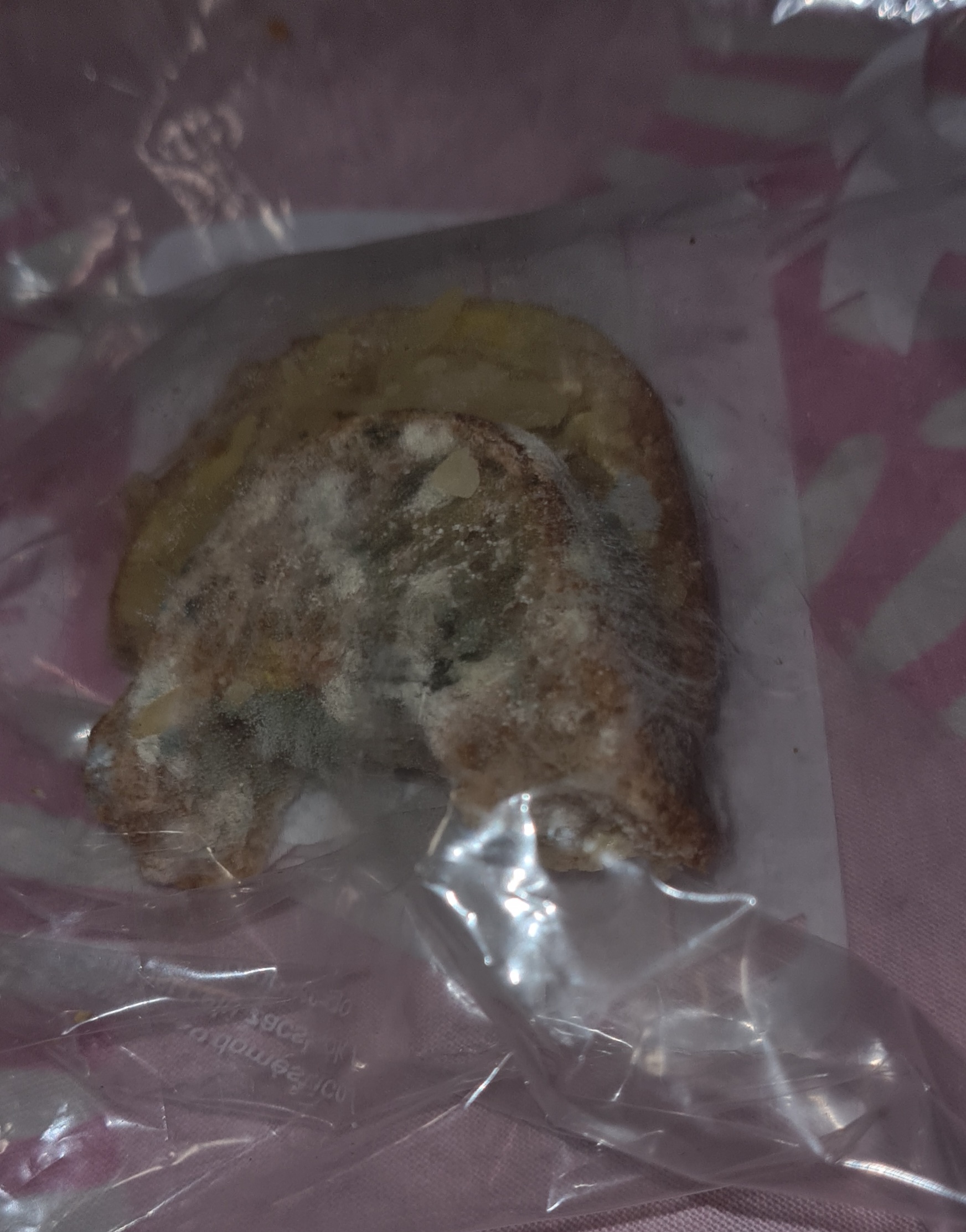 moldy bread with cheese! 