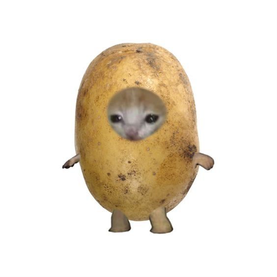 You say cadetato I say catato