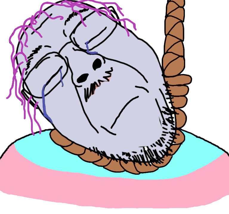 >lole