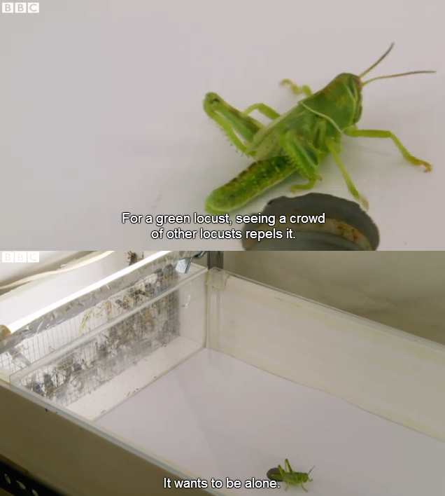 me irl
