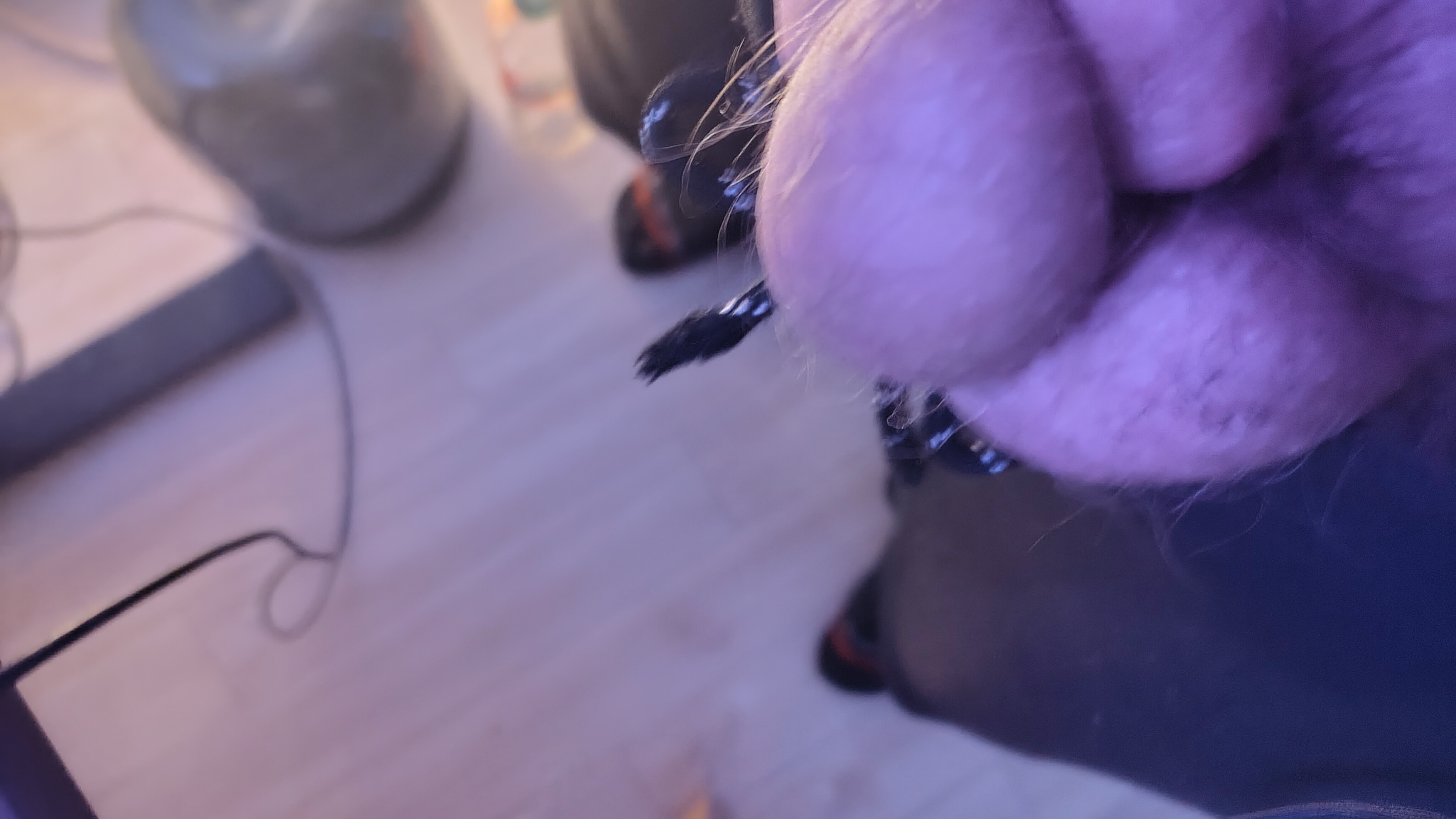 dicke Eier