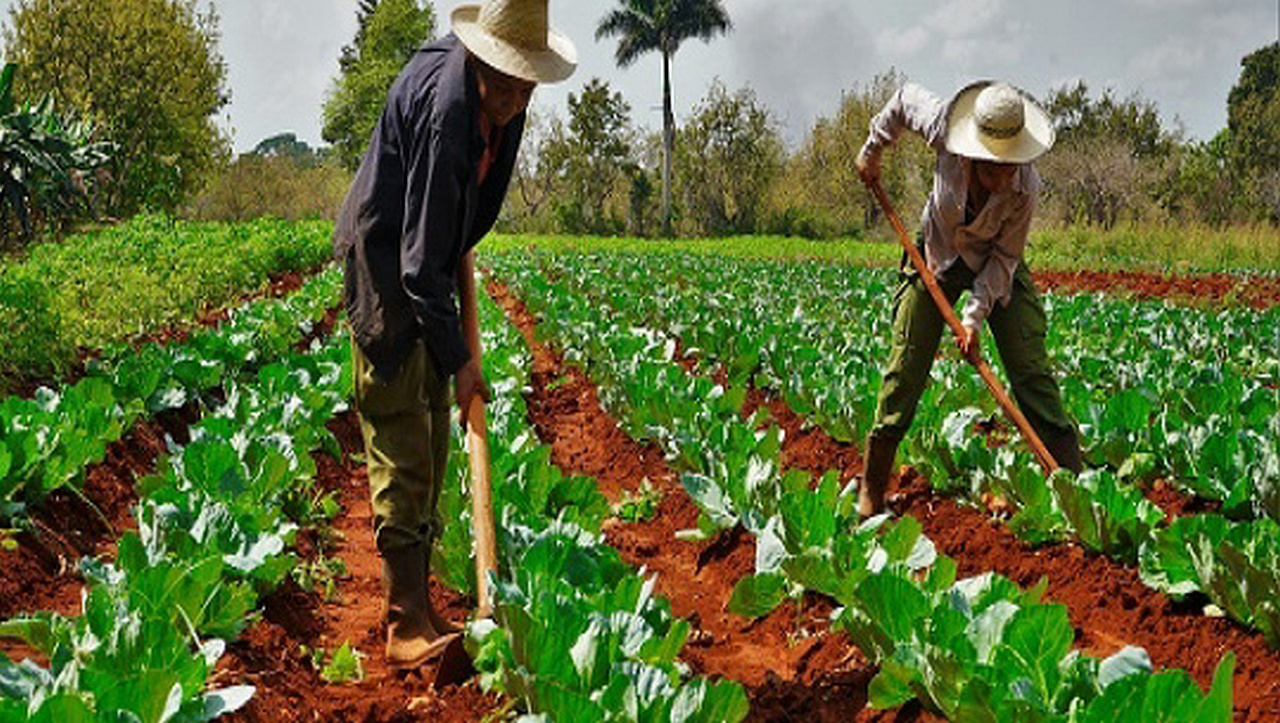 Hola! Soy yo, your beloved Español instructor. Today's word is campesino.