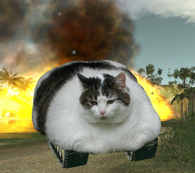 OH HERE HE COME
