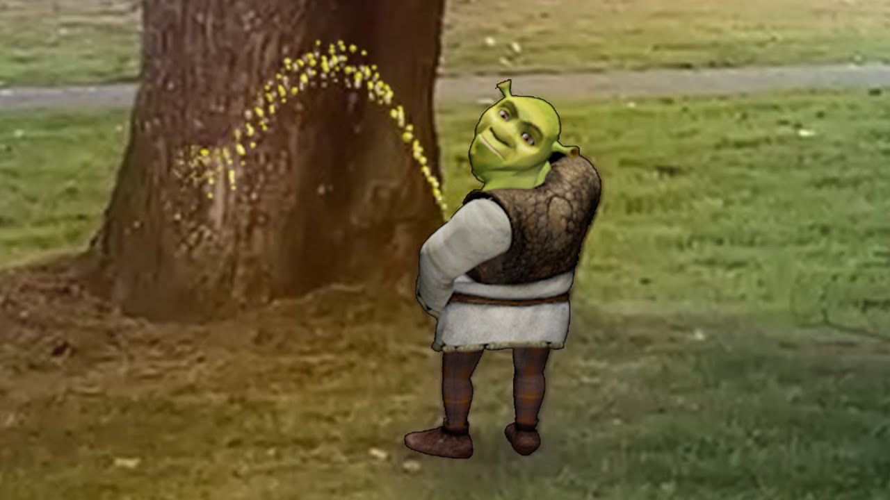 #wwhy shrek is piss wwwwwhhhyyyyyy....