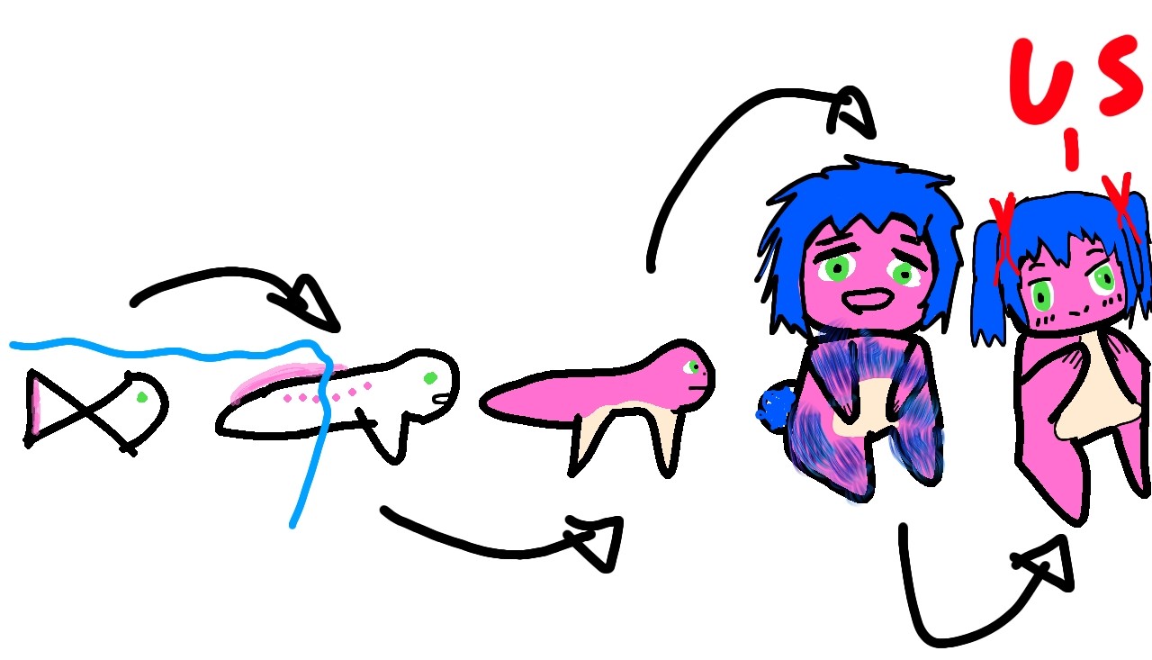 After a long time of research, I, Charles Nicefigton, propose this beary evolution scheme, where i used all the current scientific knowledge on palelniceology to explain how all the bearies came to be under millions of years of adapting to different habitats through nice selection until it reached our current state. First, in a aquatic stage, slowly coming out of water and spreading niceness to a all the globe between different species, eras and extintions.