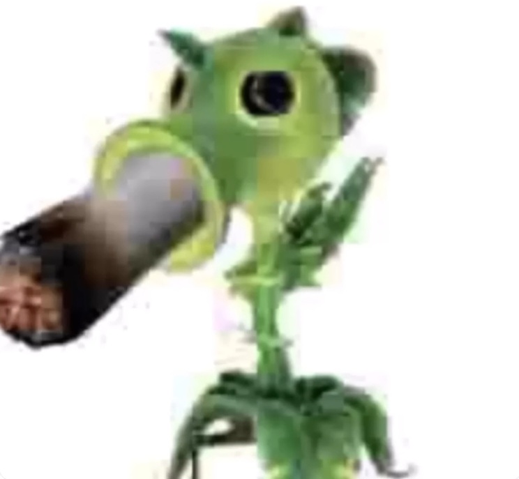 What should we name him?