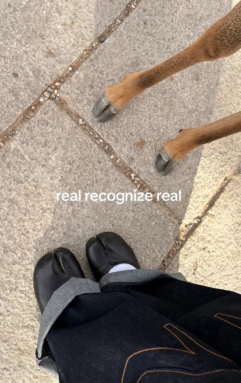 Yeah this yesdoka chan up in this mf, and this thread is for all you trannies trying to suck my dick, bieeeeeeeetch