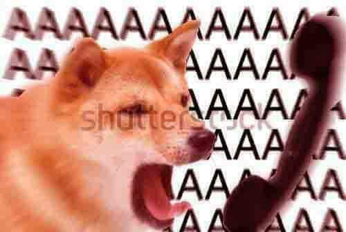 AAAAAAAAAAAAAAAAAAAAAAAAAAAAAAAA
