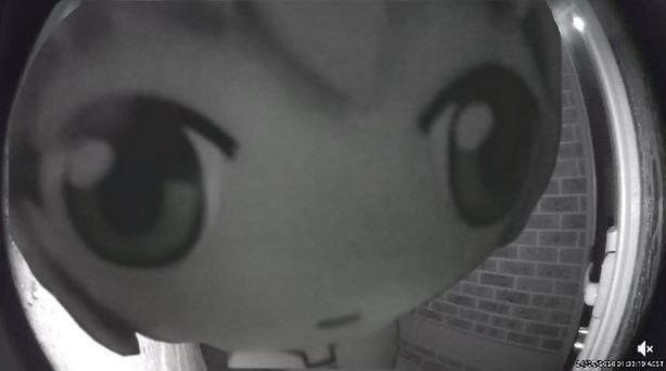 did you just feel that tremor