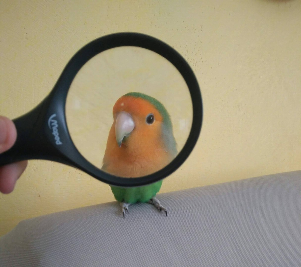 no comment will be issued for this thread