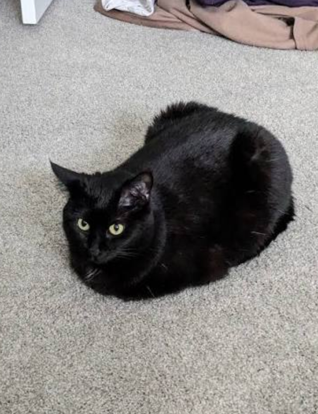 May I loaf here? Thanks. I hope I'm not taking too much space